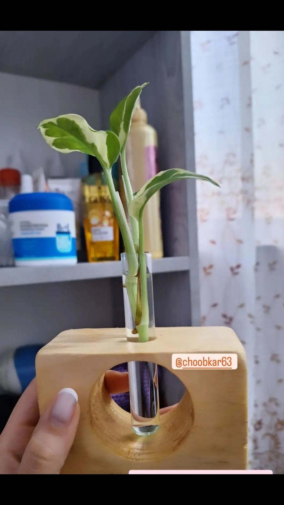گلدان شیشه دار
