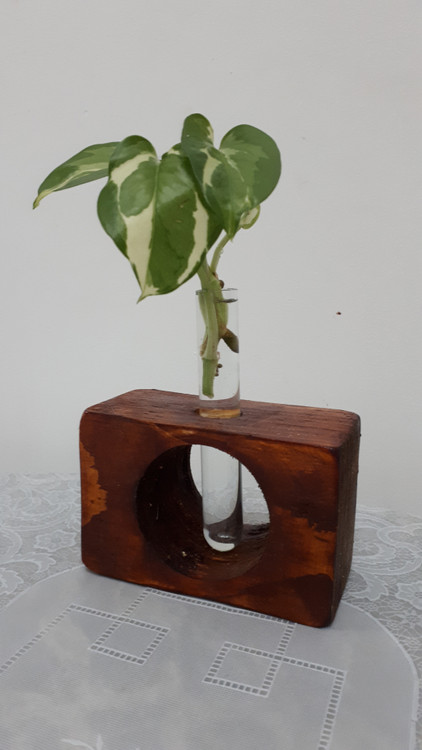 گلدان چوبی زیبا