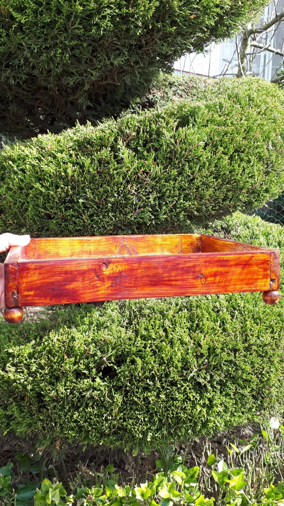 سینی چوبی