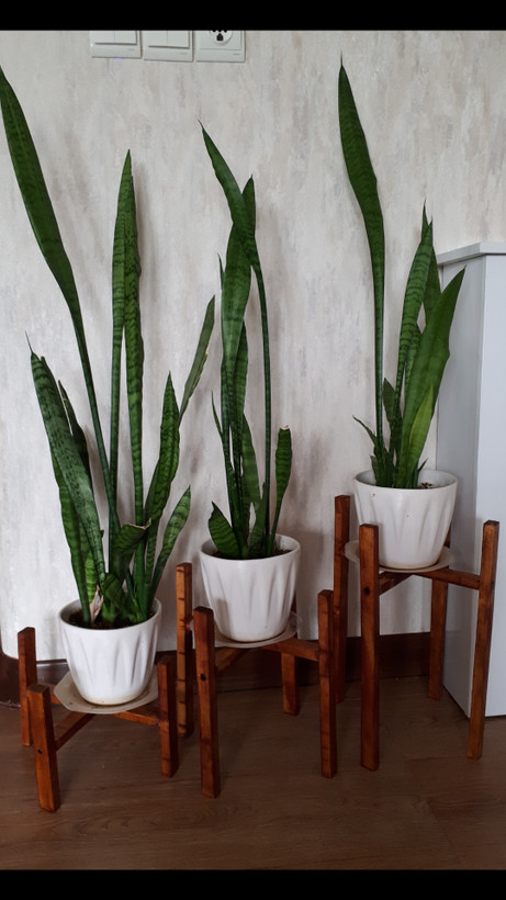 استند سه تایی گلدان