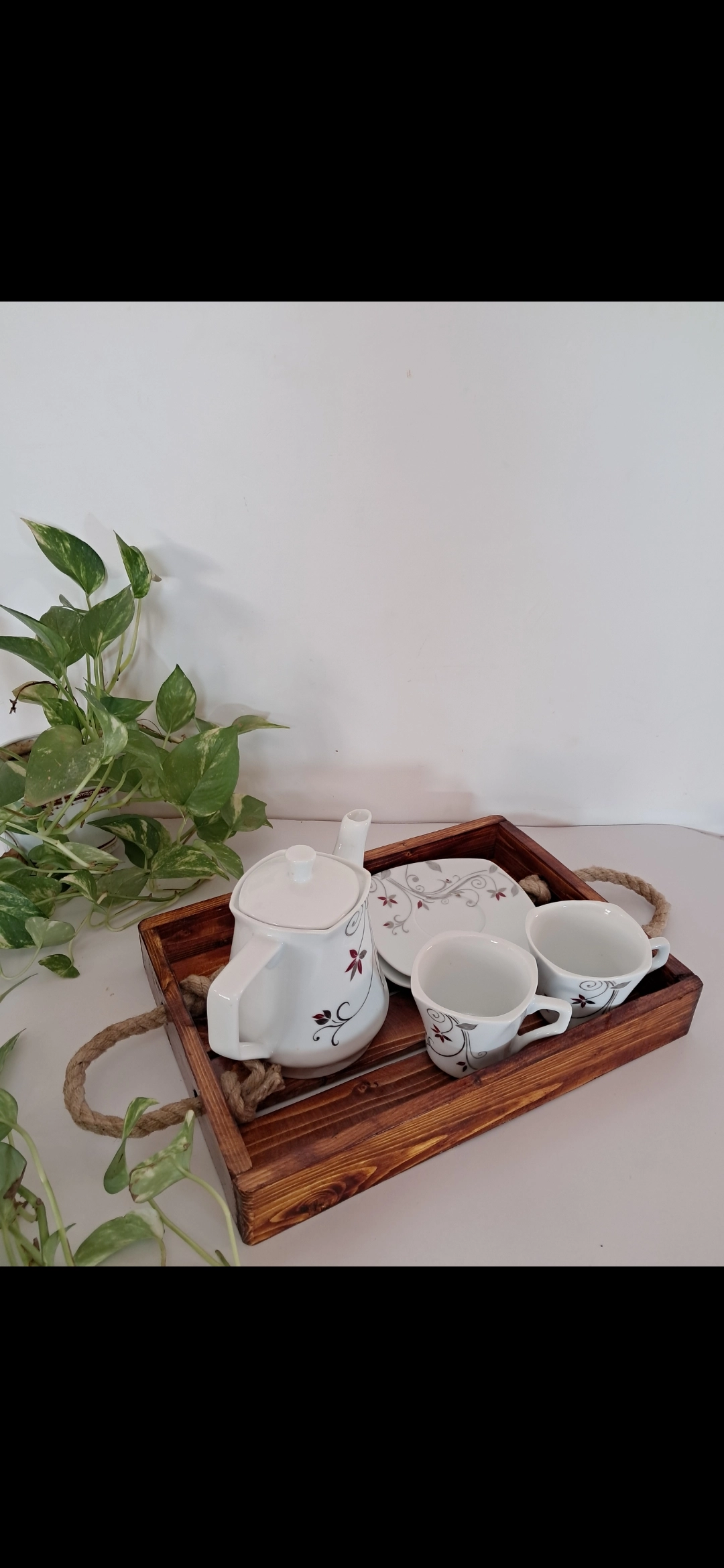 سینی دسته کنفی