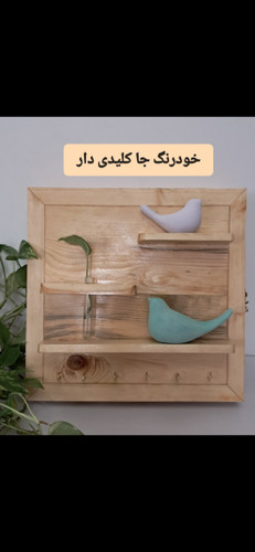 کاور فیوز خود رنگ