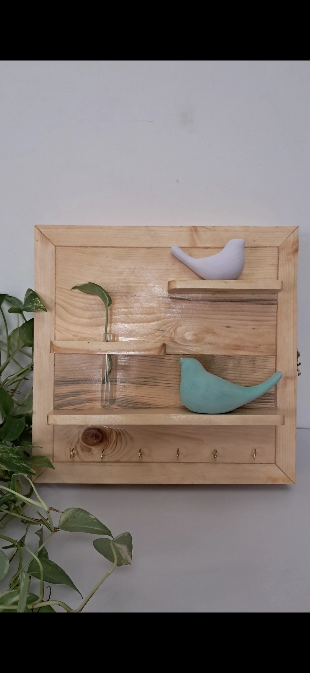 پوشاننده جعبه فیوز